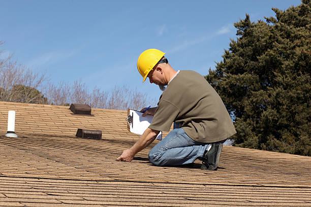 Best Roof Maintenance and Cleaning  in Loudon, TN